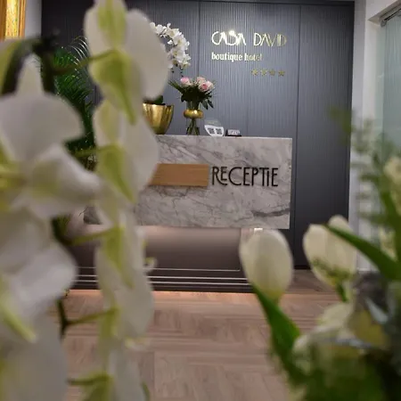 Hotel Casa David Craiova