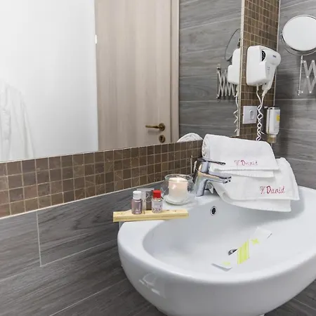 Casa David Szálloda