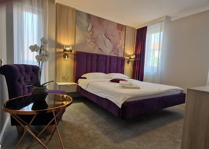 Casa David Hotel Craiova