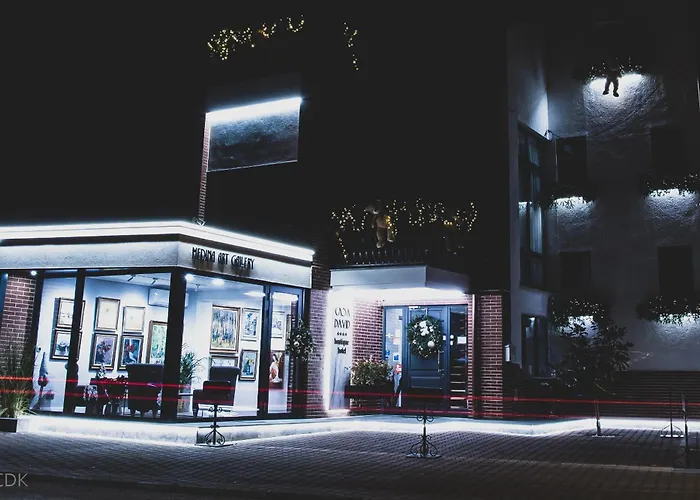 Casa David Hotel Craiova