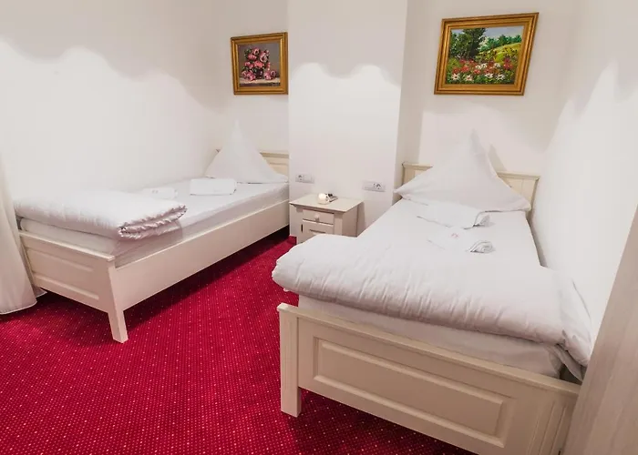Hotel Casa David Craiova